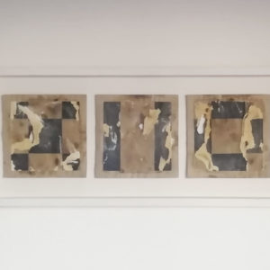 Papers, la diversità nell’uguaglianza